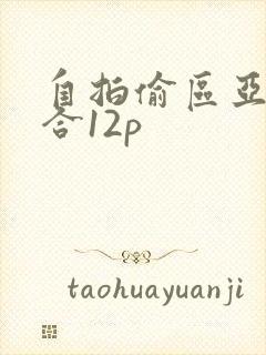 自拍偷区亚洲综合12p