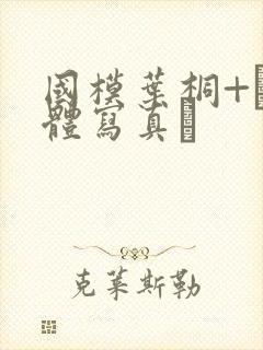 国模叶桐+〔裸体写真〕封面