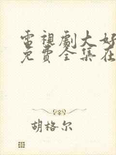 电视剧大好时光免费全集在线观看