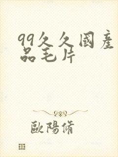 99久久国产精品毛片