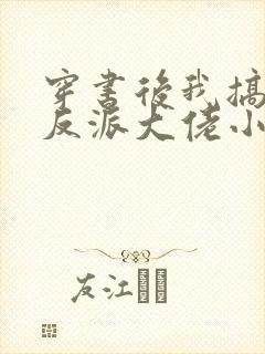 穿书后我搞到了反派大佬小说封面