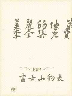 美丽的他 第2季全集免费播放在线观看封面