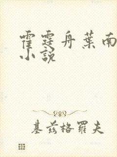 霍霆舟叶南苏然小说