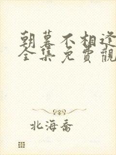 朝暮不相逢短剧全集免费观看