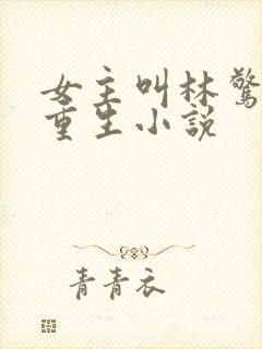 女主叫林惊澜的重生小说