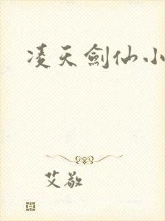 凌天剑仙小说封面