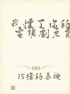 我怀了你的孩子 电视剧免费观看封面