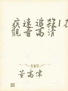 疾速追杀1在线观看高清封面