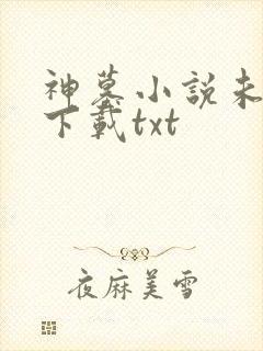 神墓小说未删版下载txt