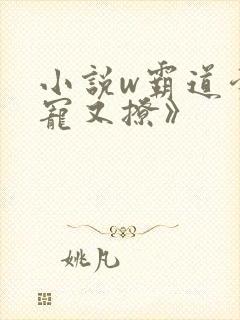 小说w霸道爹地宠又撩》封面