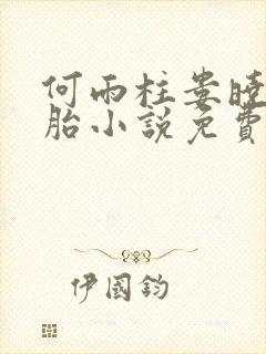 何雨柱娄晓娥双胎小说免费阅读