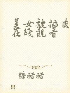 美女被插爽视频在线观看