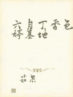 六月丁香色婷婷婷基地