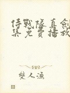 侍战队真剑者全集免费播放