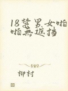 18禁男女啪啪啪无遮挡