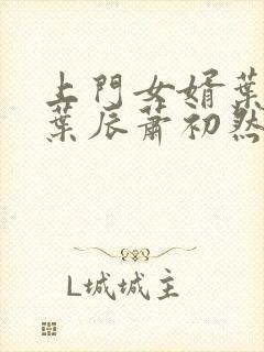 上门女婿叶辰 叶辰萧初然531封面