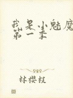 我是小魅魔仆人第一季封面