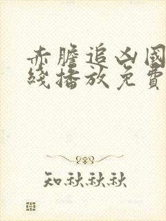 赤胆追凶国语在线播放免费观看