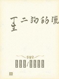 丁二狗的猎艳人生