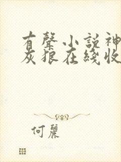 有声小说神墓大灰狼在线收听