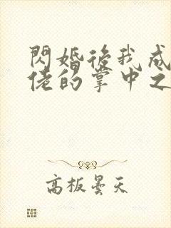 闪婚后我成了大佬的掌中之物短剧免封面