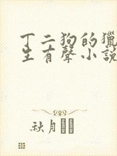 丁二狗的猎艳人生有声小说