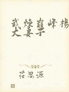 武炼巅峰杨开9大妻子封面