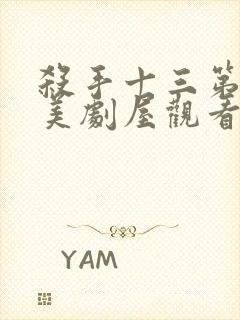 杀手十三第一季美剧屋观看