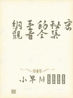 纲手的秘密免费观看全集