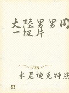 大陆男男同性恋一级片