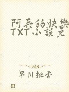 阿兵的快乐生活TXT小说免费阅读全章