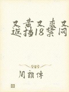 又黄又爽又色无遮挡18禁网站