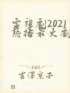 电视剧2021热播最火剧封面