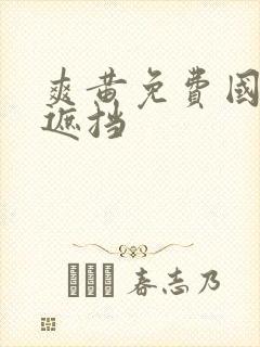 爽黄免费国产无遮挡封面