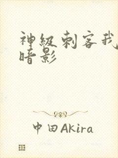 神级刺客我既是暗影