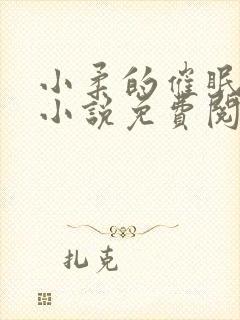 小柔的催眠日记小说免费阅读