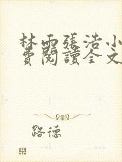 林雨张浩小说免费阅读全文最新章节封面