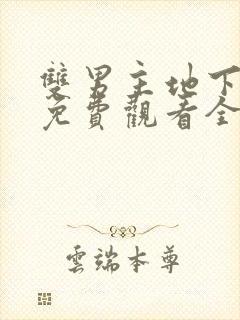 双男主地下偶像免费观看全集动漫封面