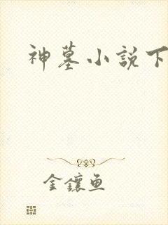 神墓小说下载