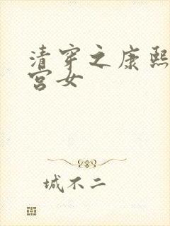 清穿之康熙宠妃宫女