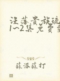 没落贵族琉璃川1~2集免费观看中文字