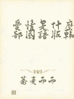 爱情是什么第四部国语版韩剧