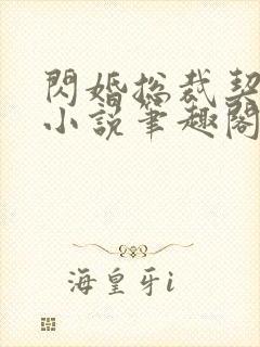 闪婚总裁契约妻小说笔趣阁