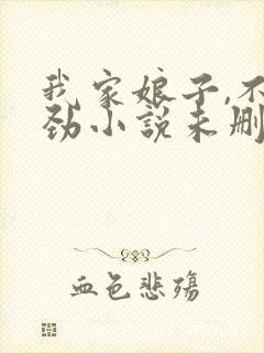 我家娘子,不对劲小说未删版