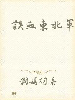 铁血东北军