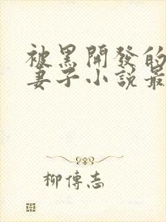 被黑开发的高冷妻子小说最新章节更