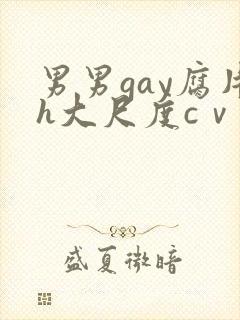 男男gay腐片h大尺度cⅴ小蓝封面