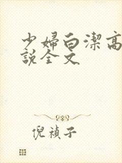 少妇白洁高义小说全文