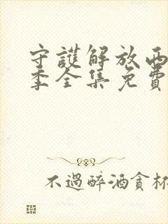 守护解放西第六季全集免费观看封面