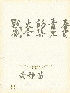 战火的青春电视剧全集免费观看